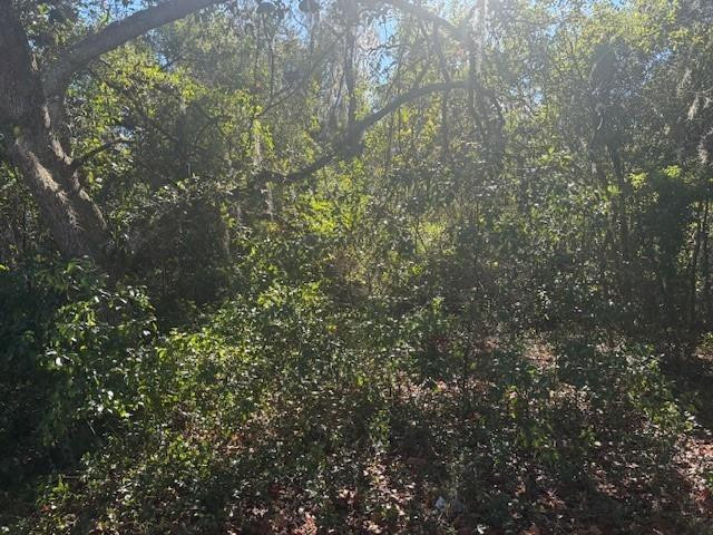 0 Se 157th Street Property Photo 2