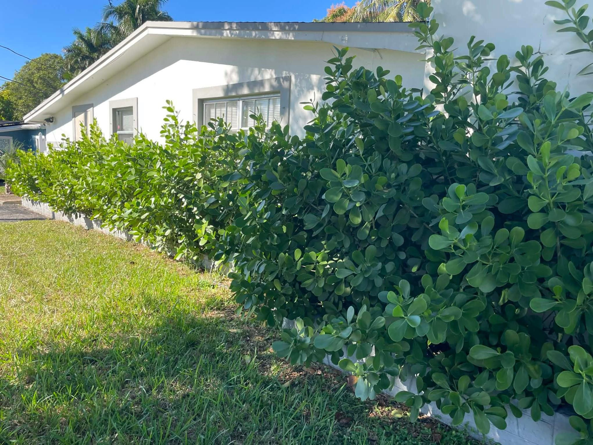 4421 Nw 34th Court Property Photo 1