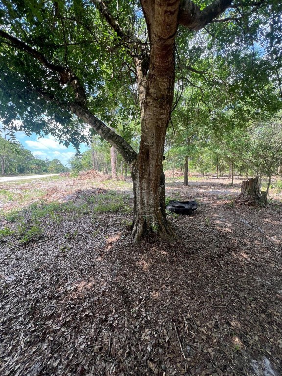 681 N Perimeter Road Property Photo 3
