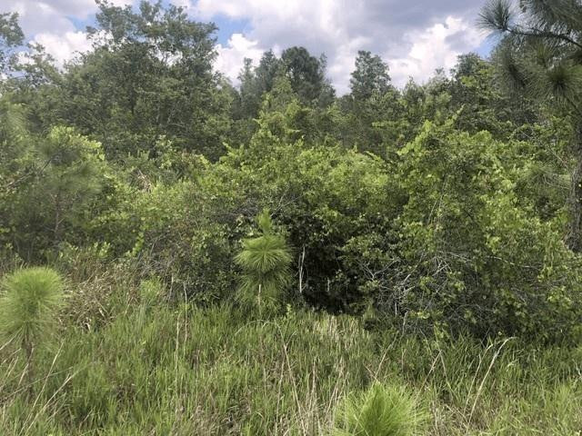 0 Xeriscape Nursery Road Property Photo 1