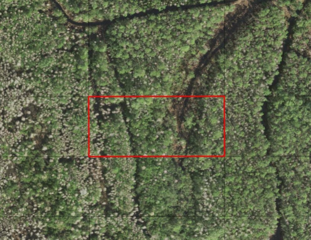 0 Holopaw Groves Road Property Photo 1