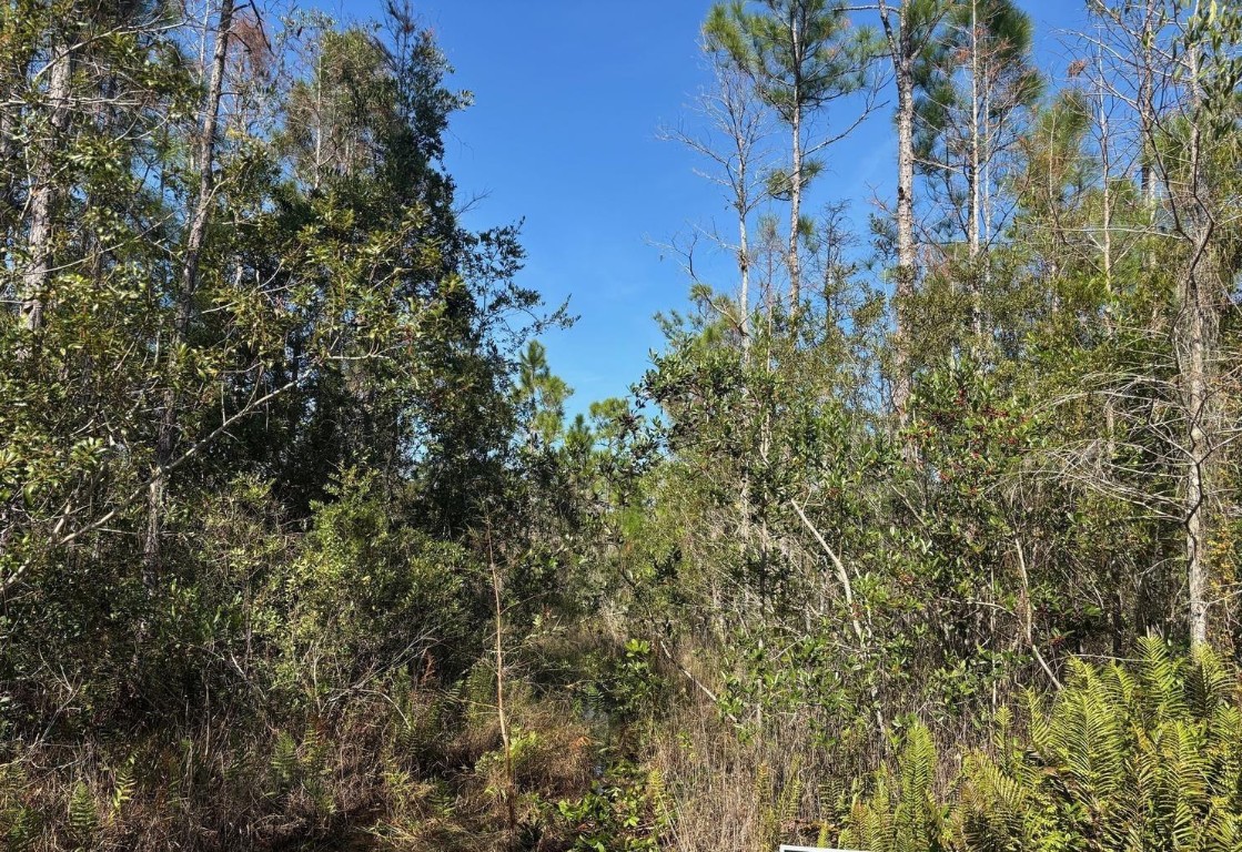 0 Holopaw Groves Road Property Photo 1