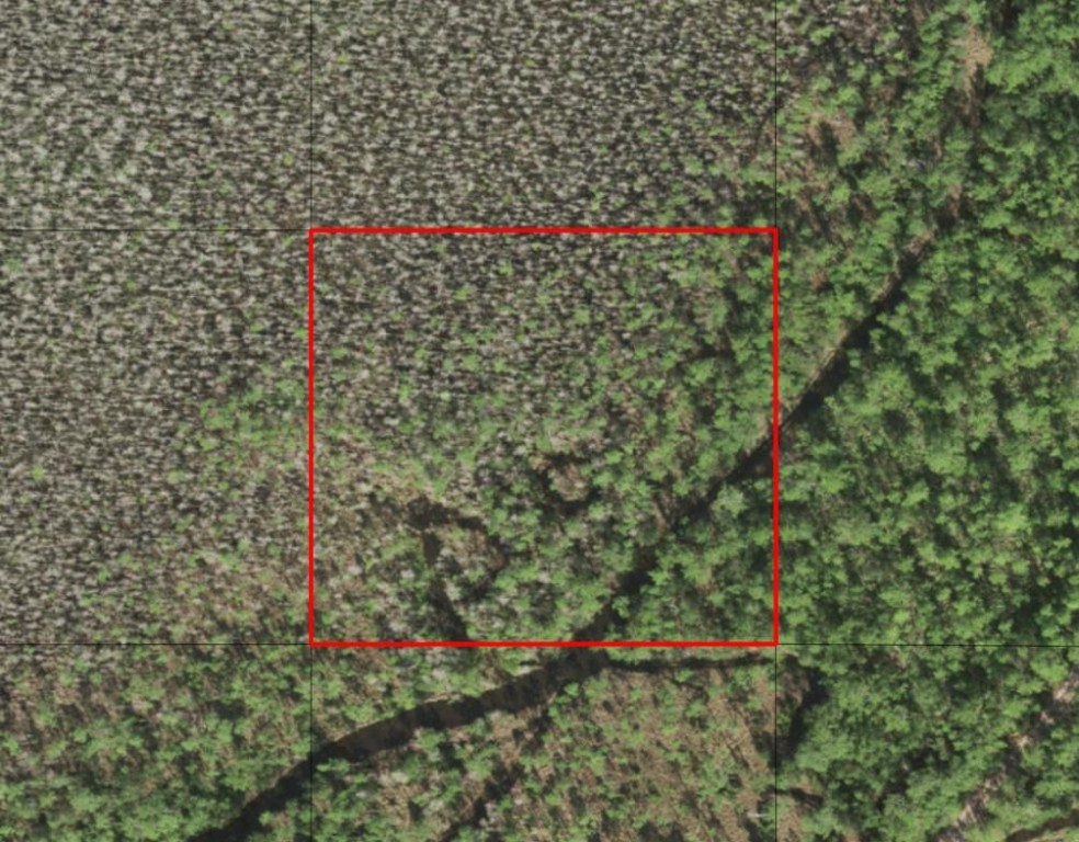 0 Holopaw Groves Road Property Photo 2