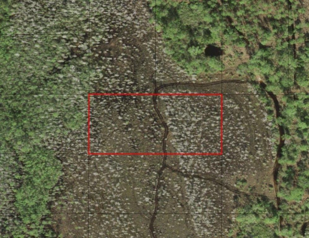 0 Holopaw Groves Road