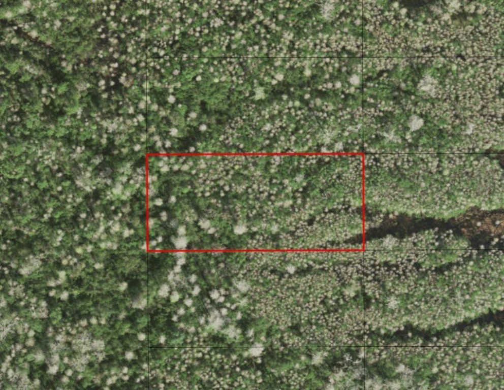 0 Holopaw Groves Road