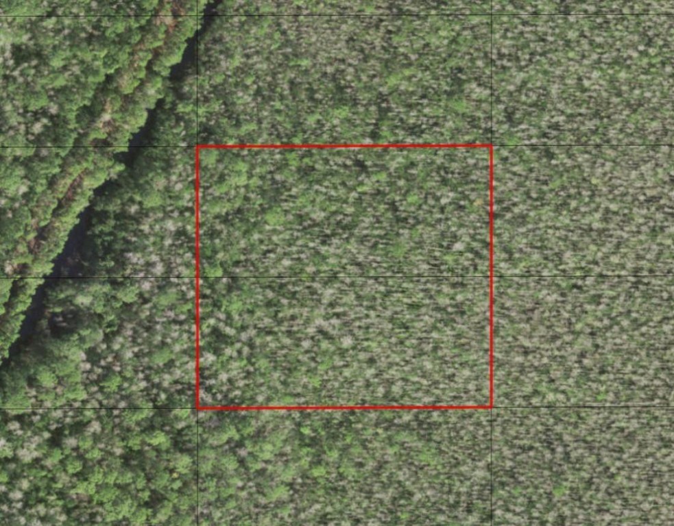 0 Holopaw Groves Road Property Photo 1