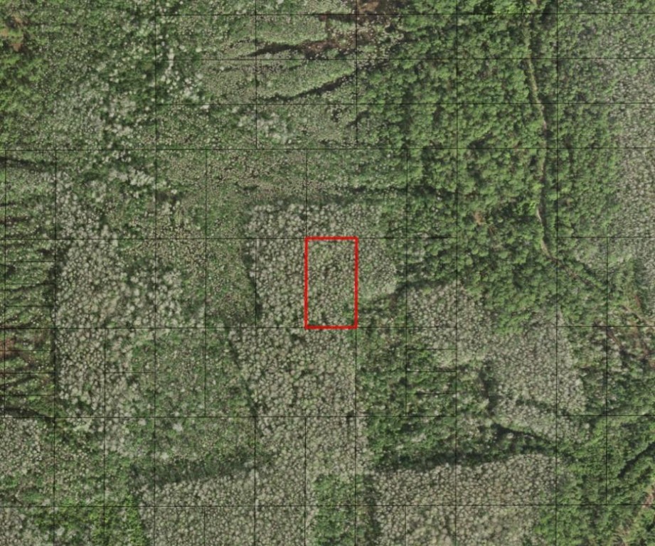 0 Holopaw Groves Road