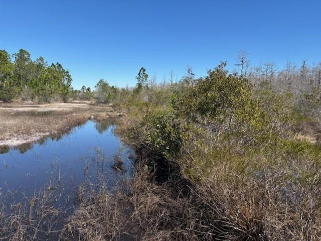 0 Holopaw Groves Road Property Photo 2