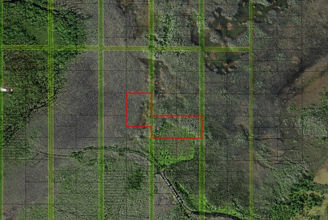 0 Holopaw Groves Road