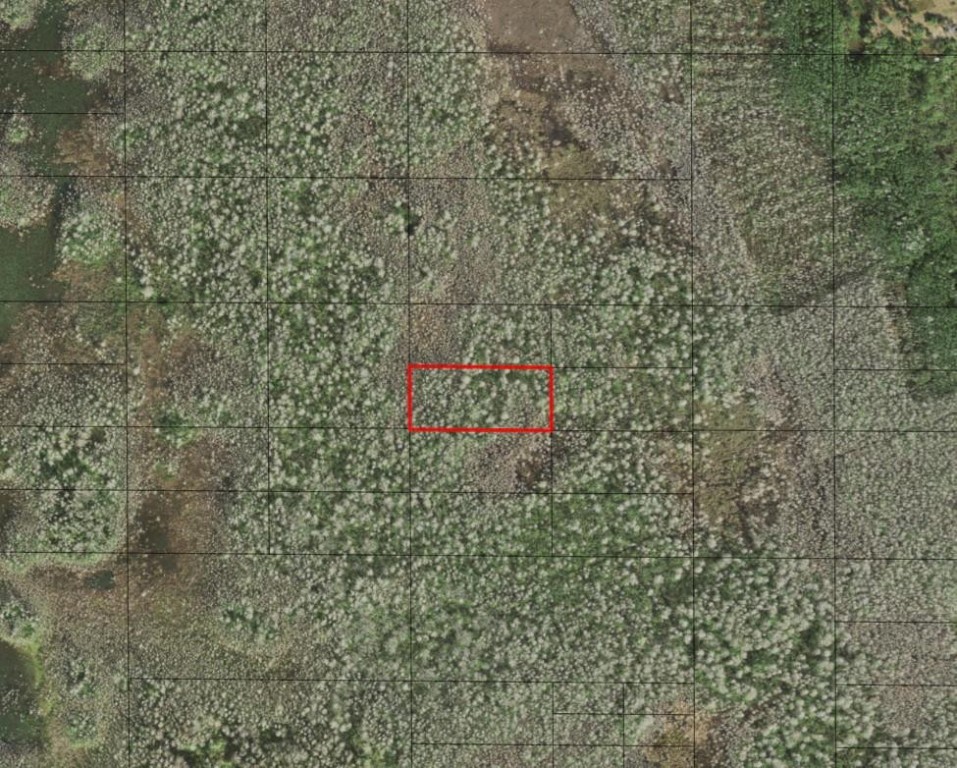 0 Holopaw Groves Road