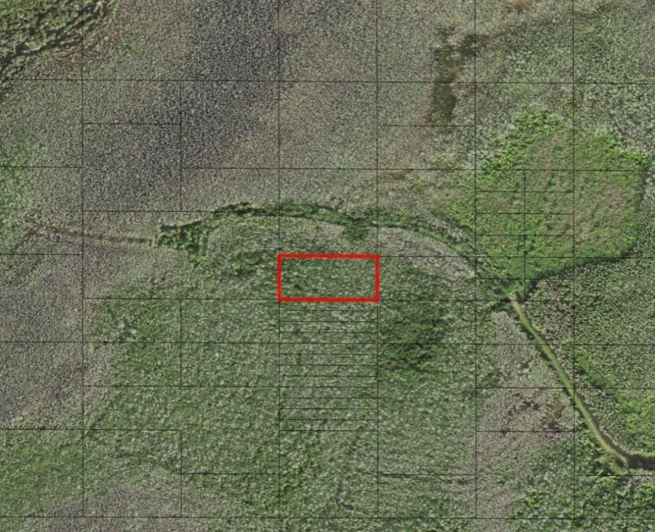 0 Holopaw Groves Road