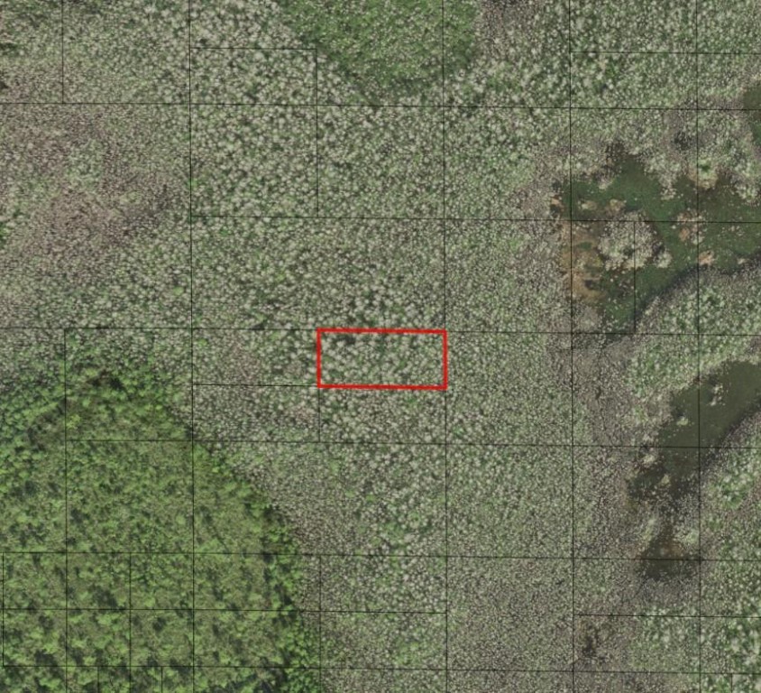 0 Holopaw Groves Road