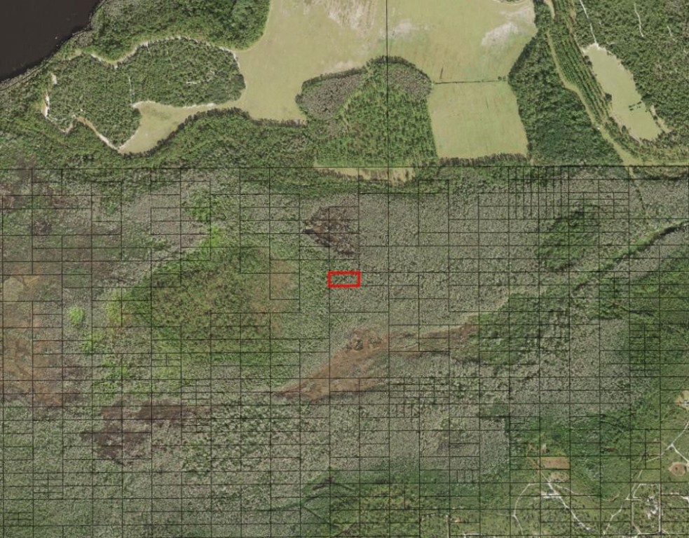 0 Holopaw Groves Road Property Photo 2