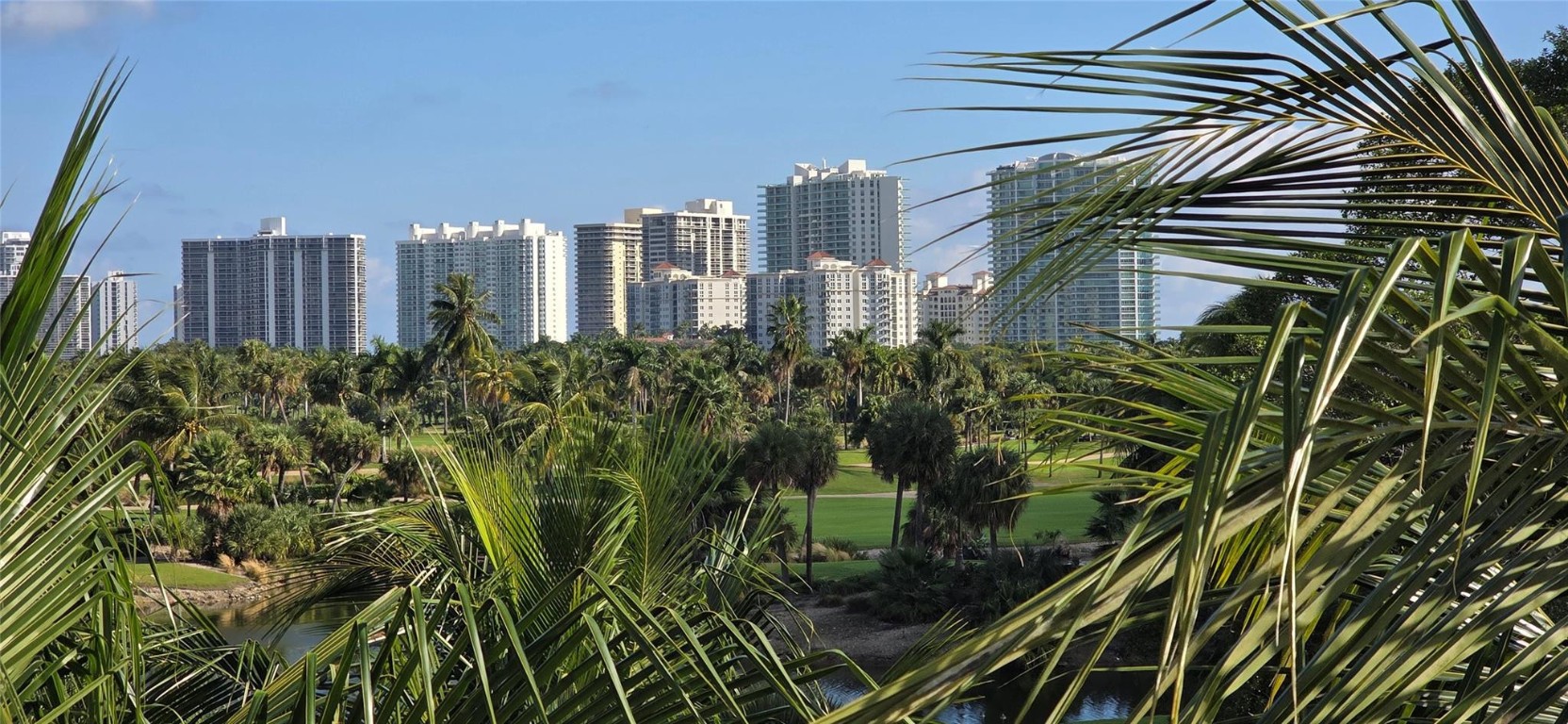19501 W Country Club Drive 2306 Property Photo 16