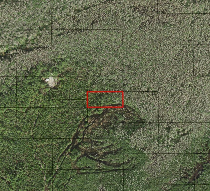 0 Holopaw Groves Road