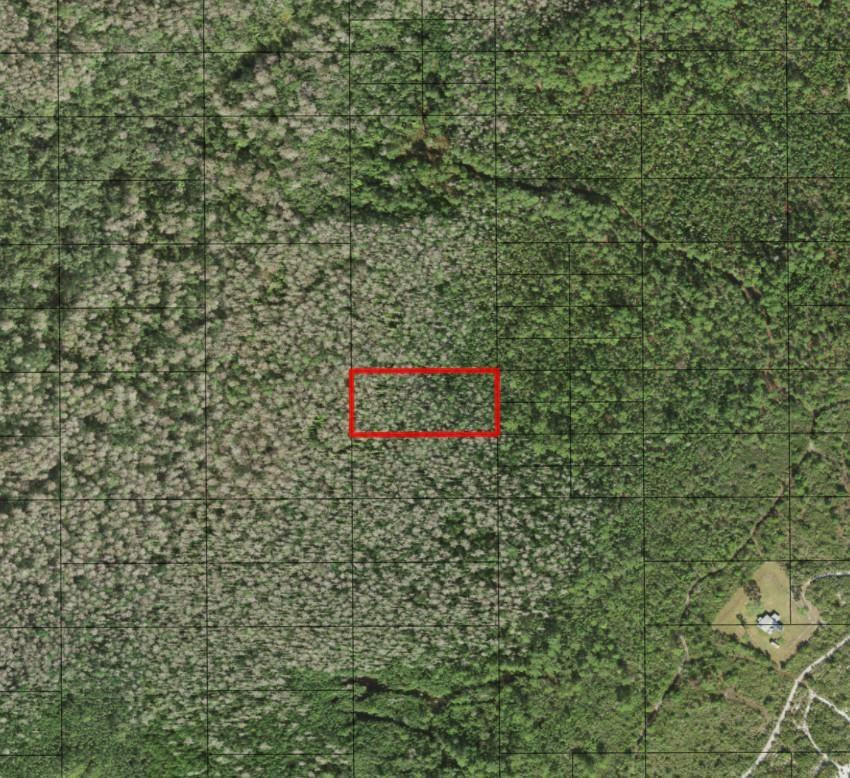 0 Holopaw Groves Road