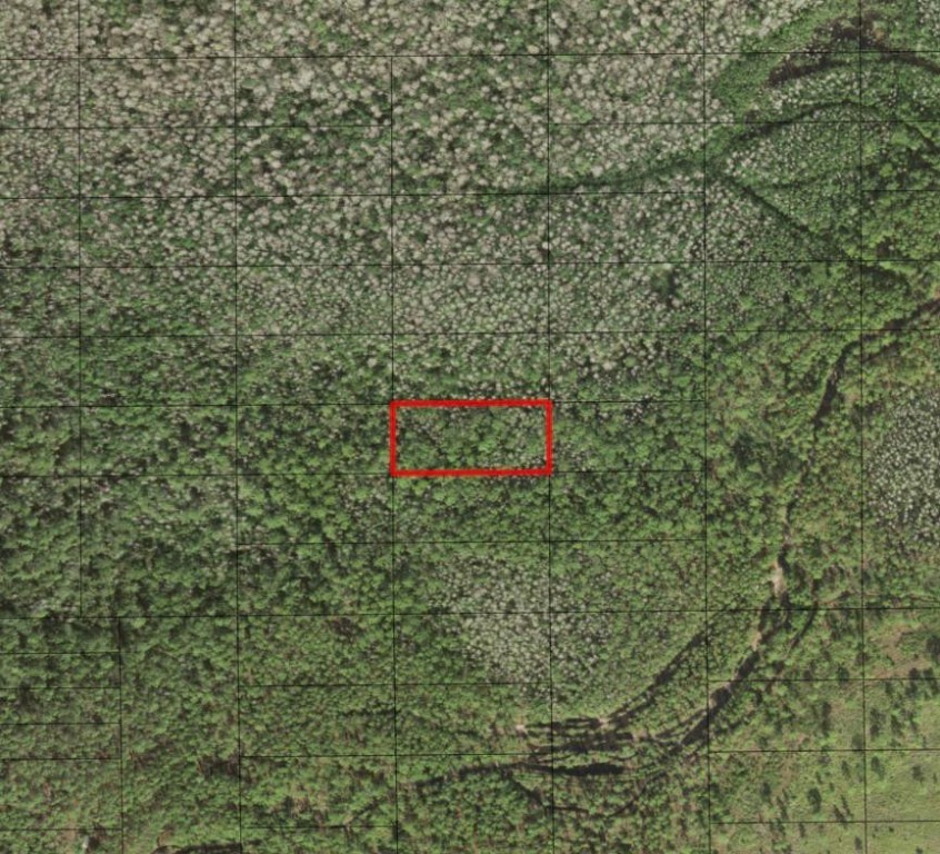 0 Holopaw Groves Road