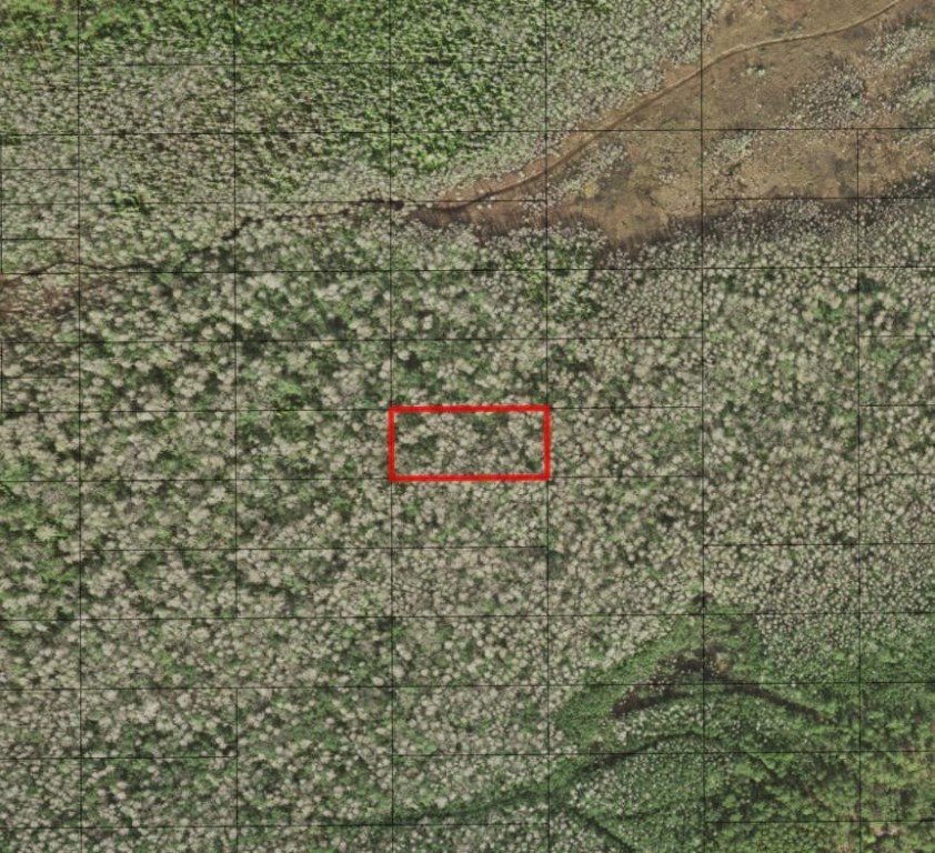 0 Holopaw Groves Road Property Photo 1