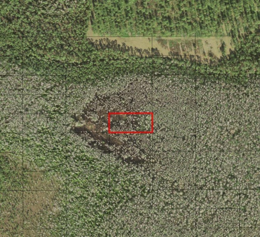0 Holopaw Groves Road