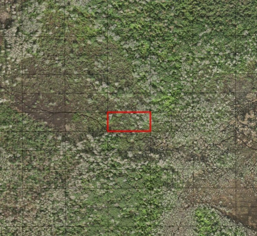 0 Holopaw Groves Road