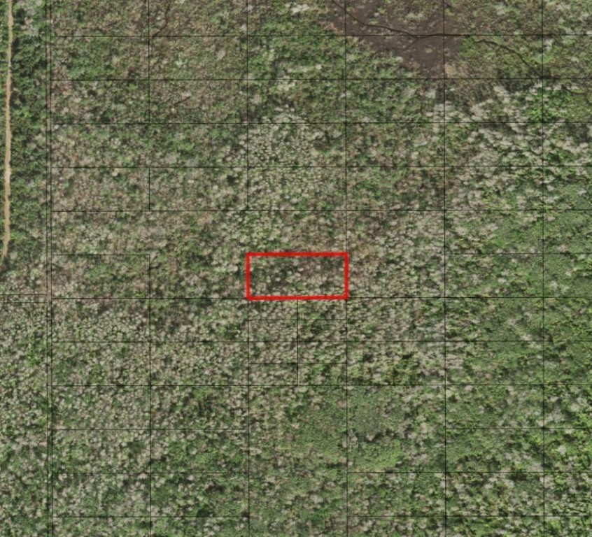 0 Holopaw Groves Road