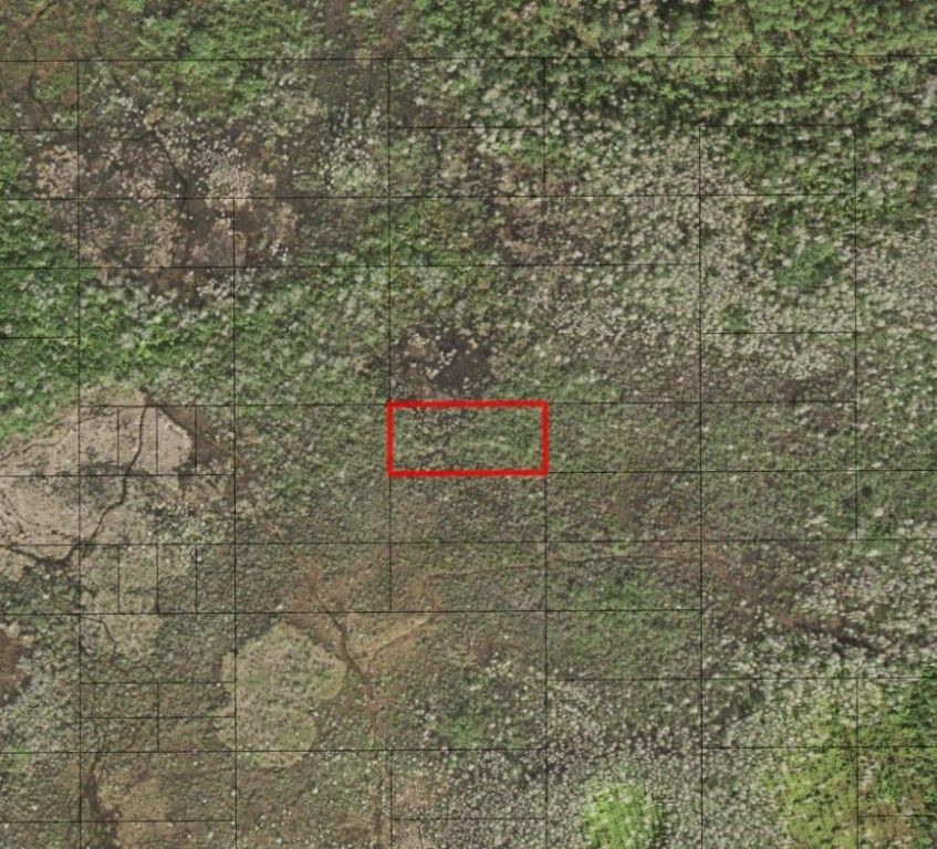 0 Holopaw Groves Road Property Photo 1
