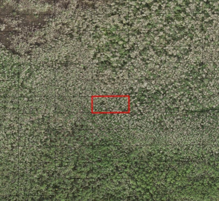 0 Holopaw Groves Road Property Photo 1