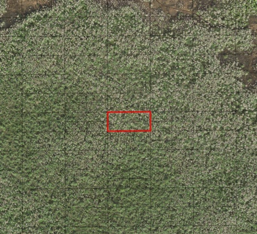 0 Holopaw Groves Road