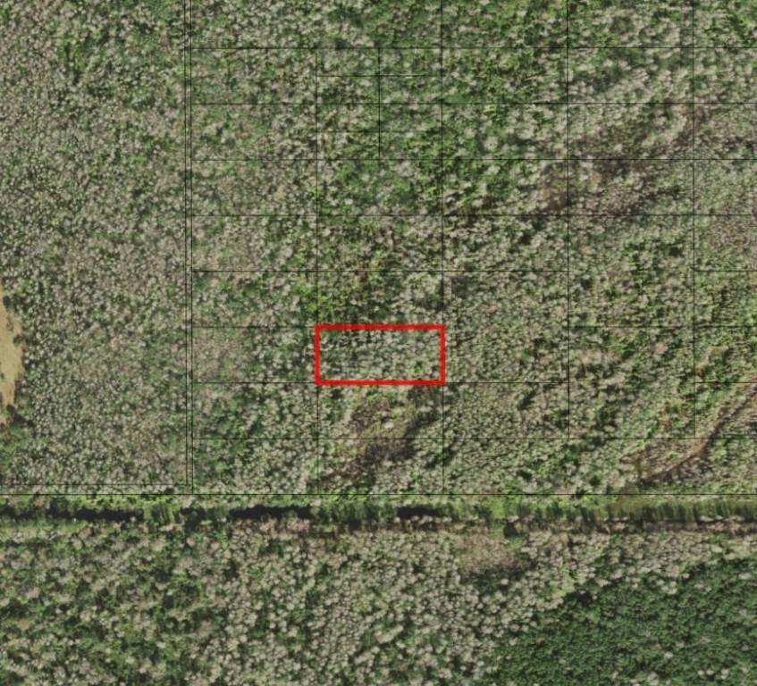 0 Holopaw Groves Road Property Photo 1