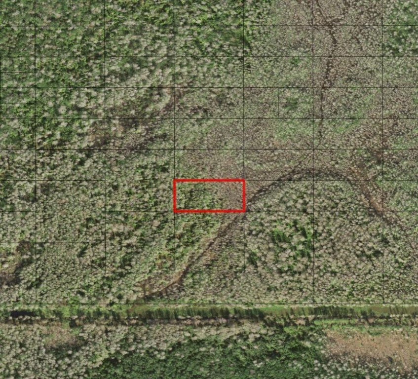 0 Holopaw Groves Road
