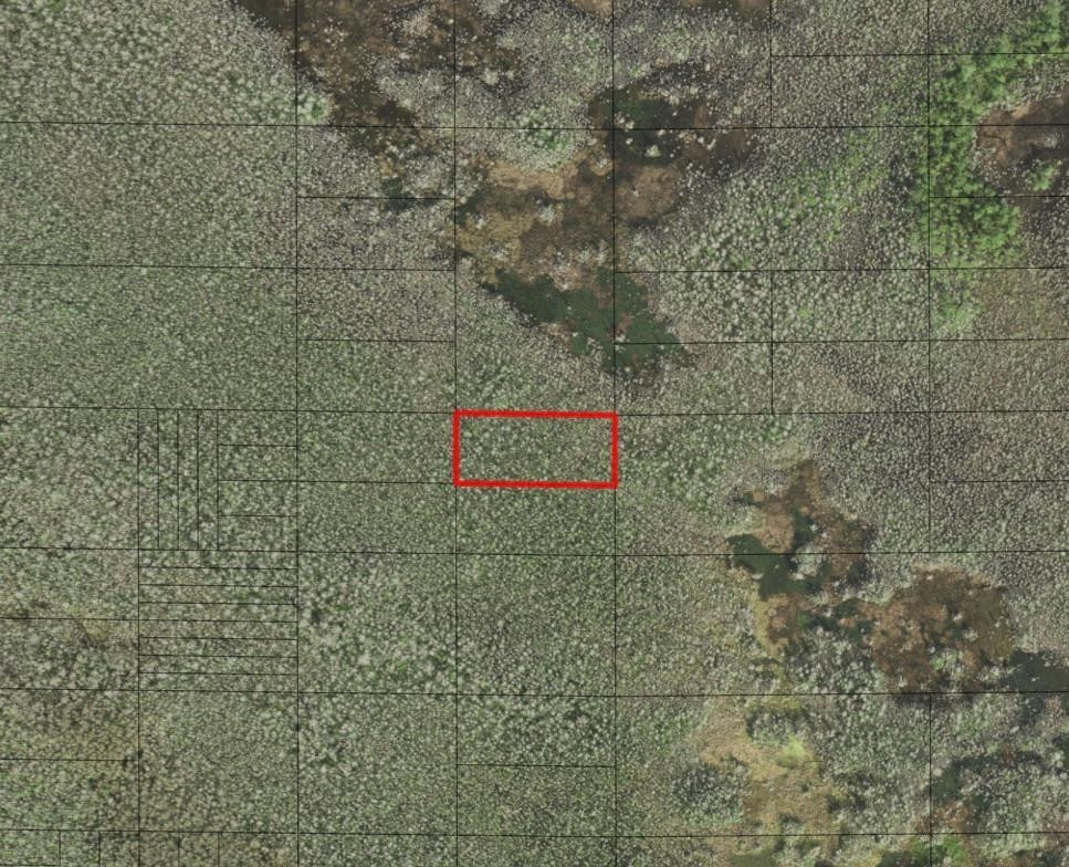 0 Holopaw Groves Road