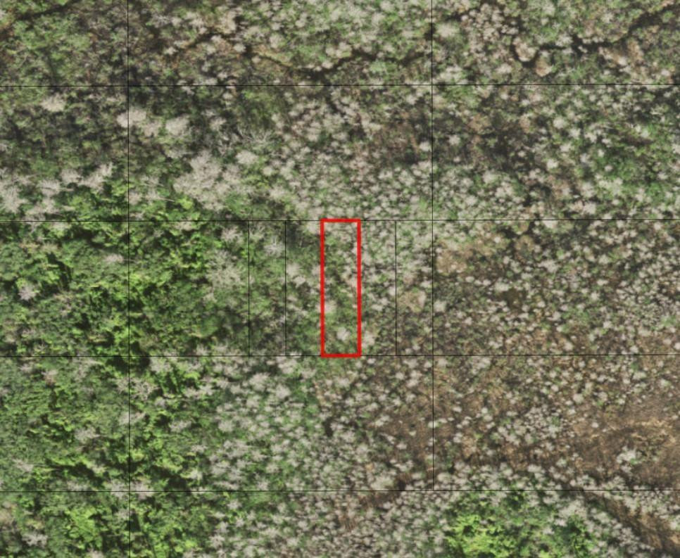 0 Holopaw Groves Road