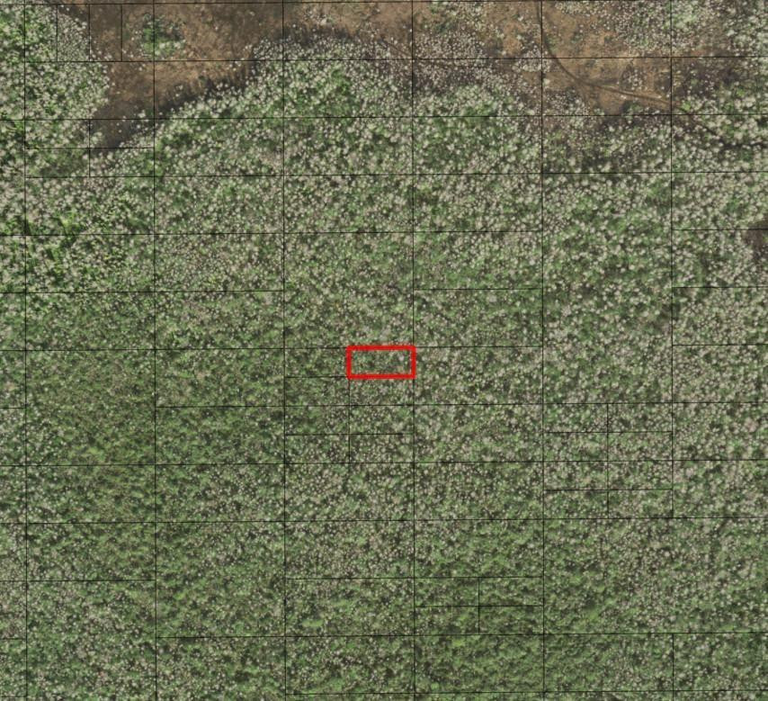 0 Holopaw Groves Road