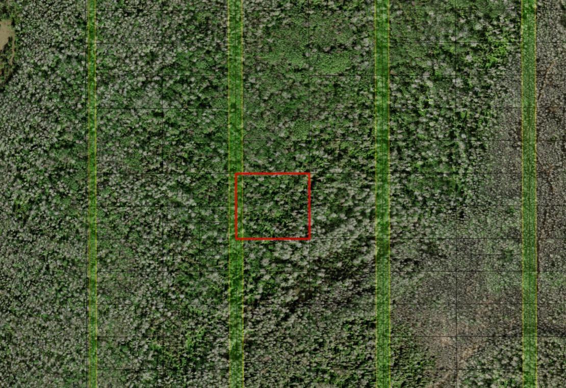 0 Holopaw Groves Road Property Photo 1
