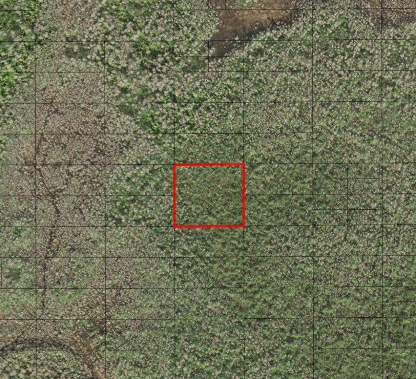 0 Holopaw Groves Road