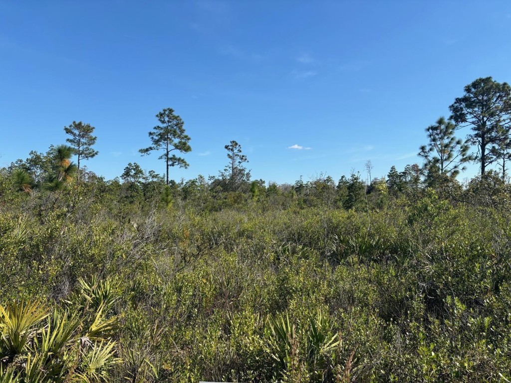 0 Holopaw Groves Road