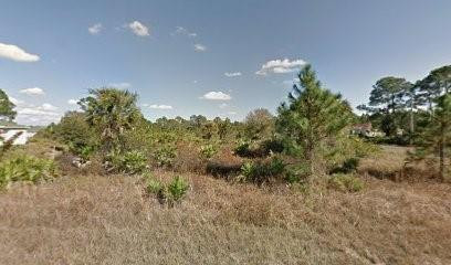 1127 Cove Street Property Photo 1