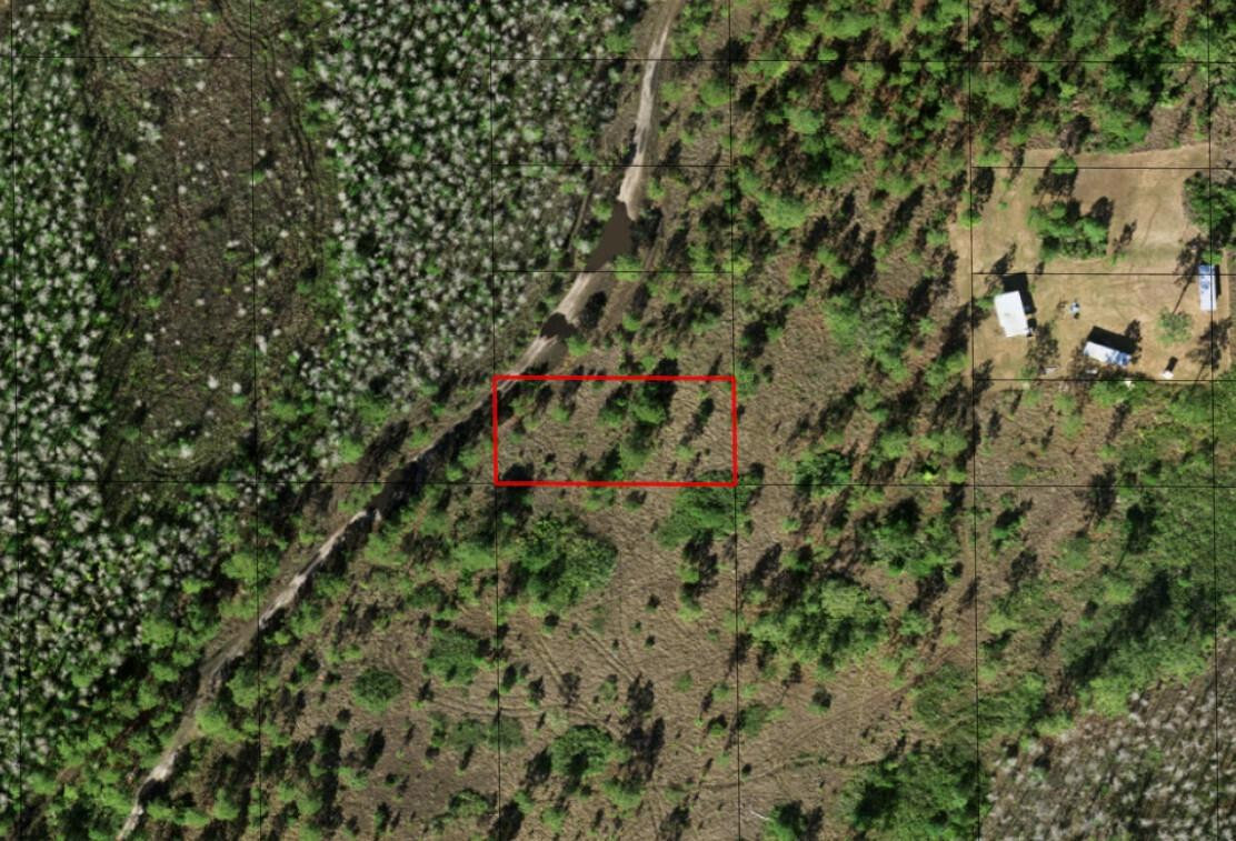 0 Holopaw Groves Road Property Photo 2