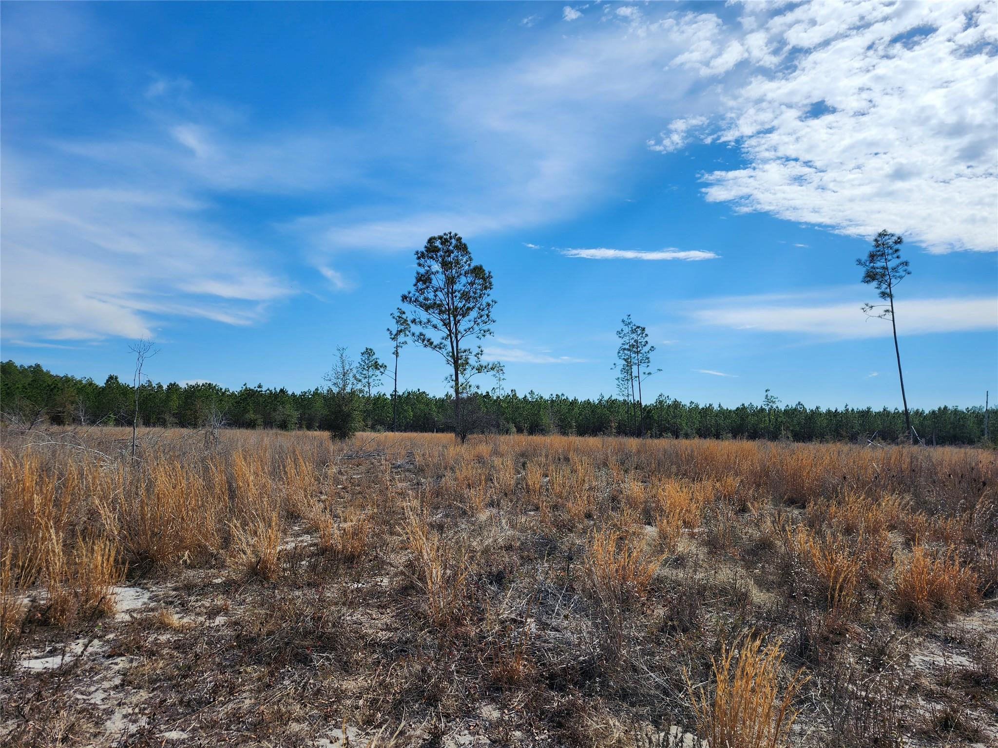 Lot 50 Fl-50 Property Photo 6