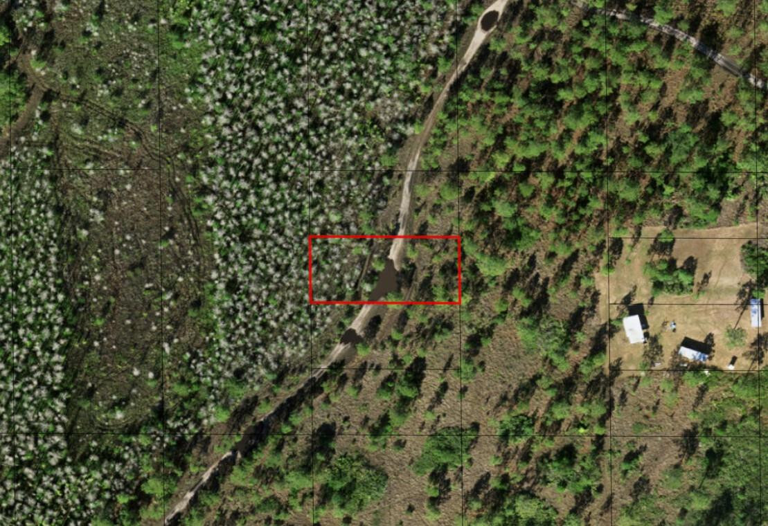 0 Holopaw Groves Road Property Photo 1