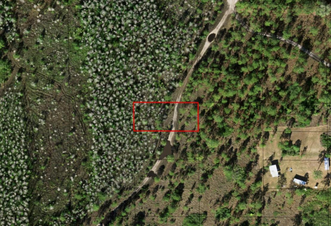 0 Holopaw Groves Road Property Photo 1