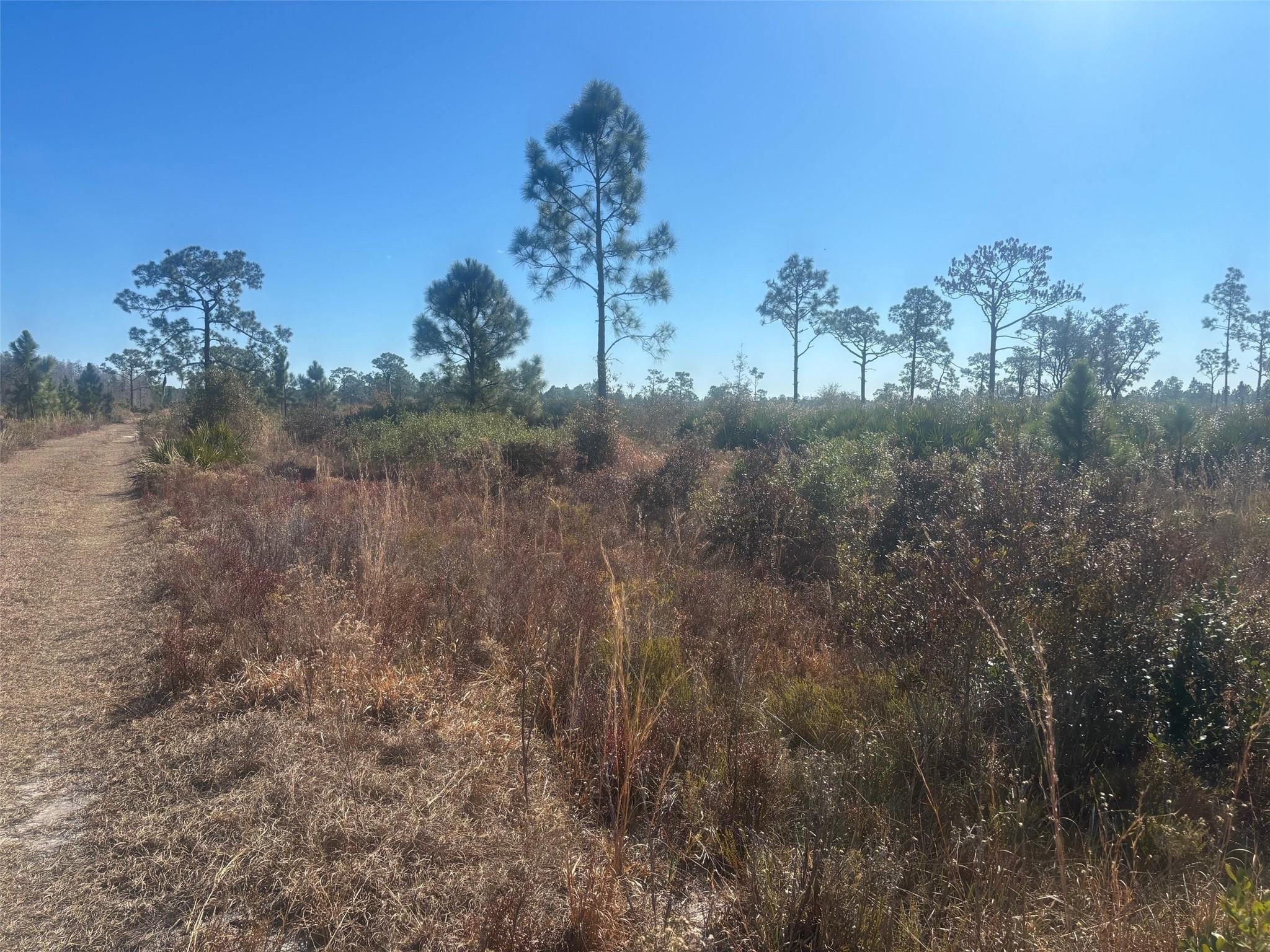 0 Xeriscape Nursery Road Property Photo 1