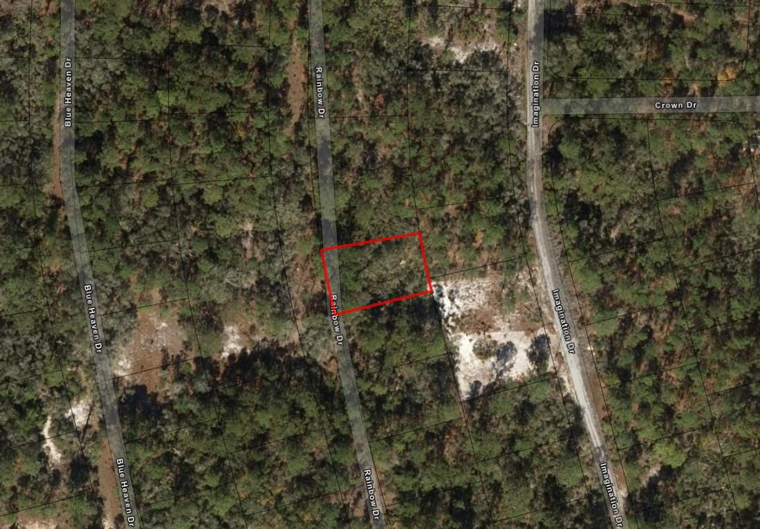221 Rainbow Drive Property Photo 3