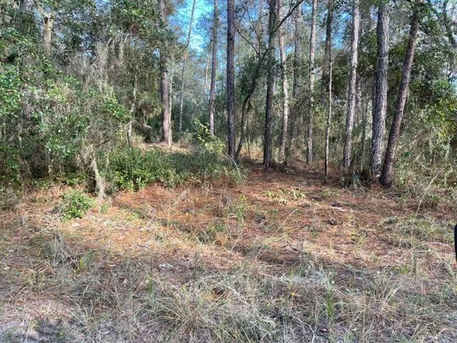 417 Incline Property Photo 1