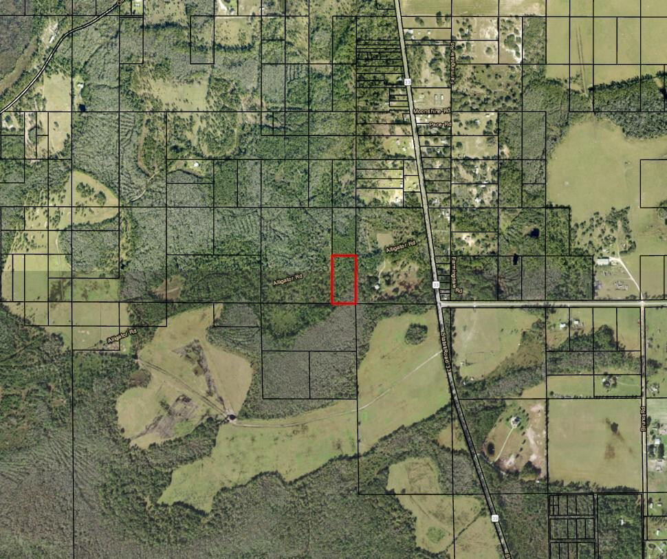 0 Alligator Road Property Photo 1