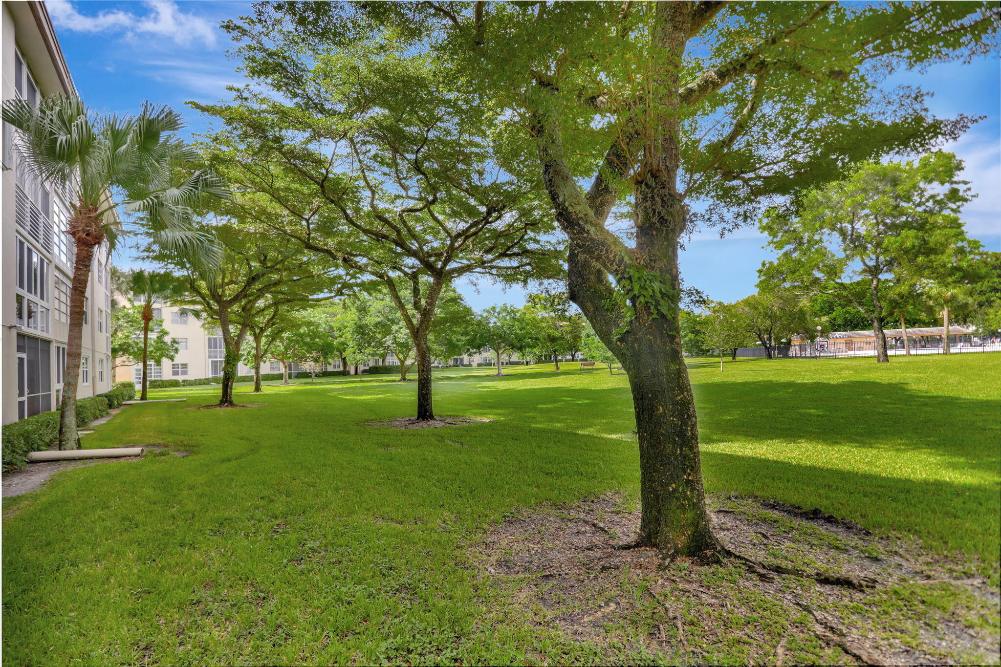 1605 Abaco Drive M4 Property Photo 37