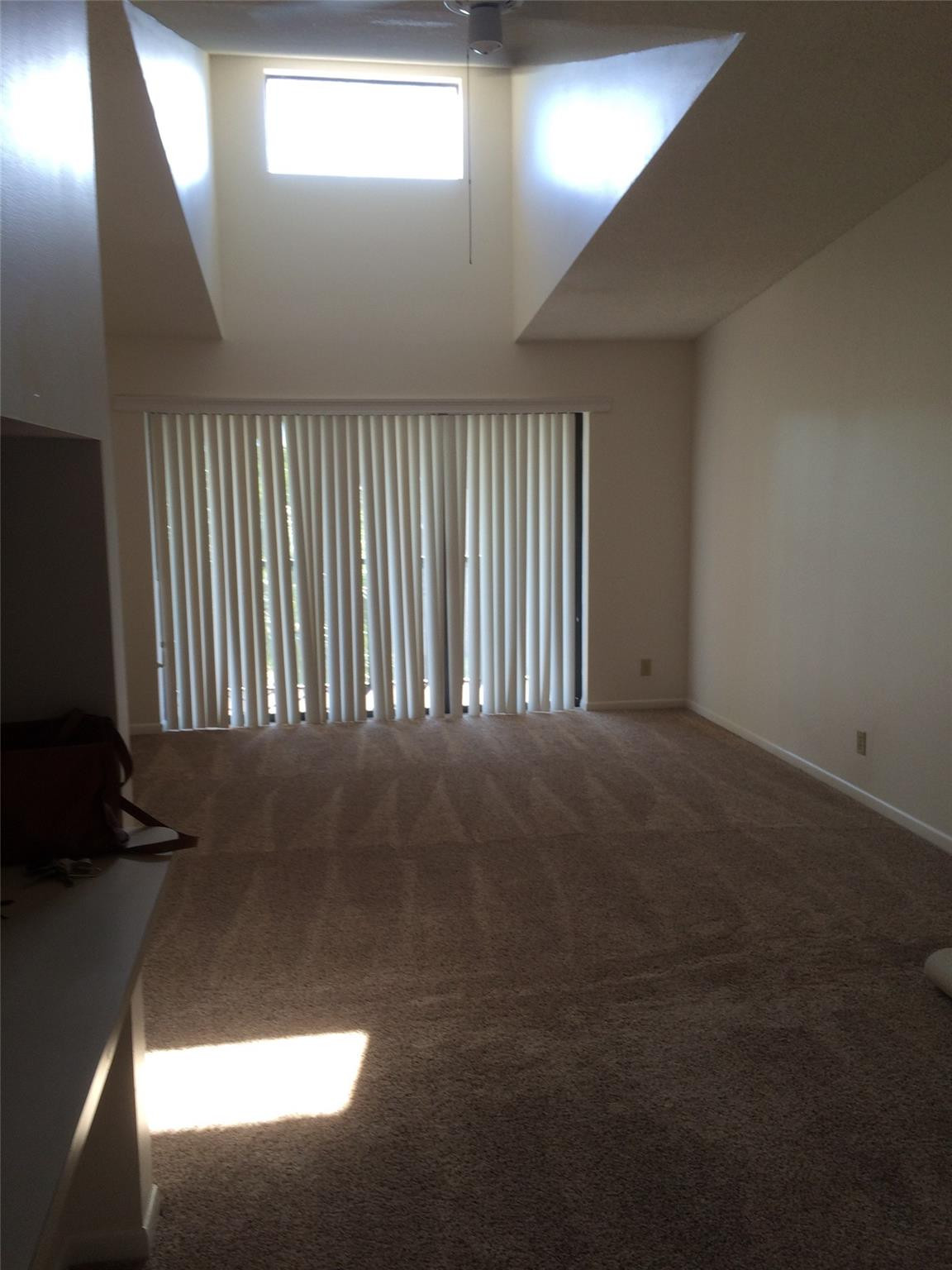 209 Foxtail Drive D-3