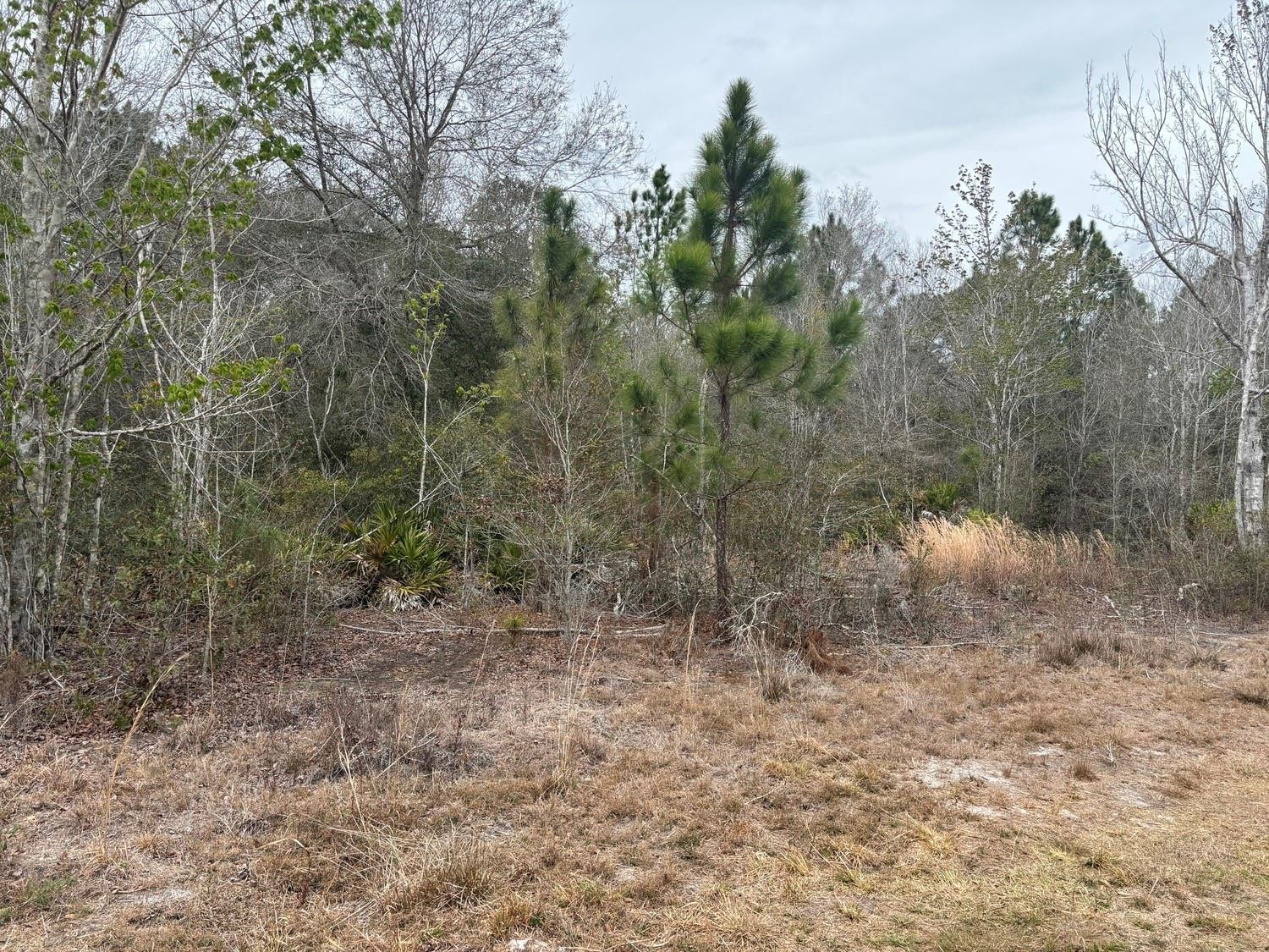 0 Old Grade Road Property Photo 2