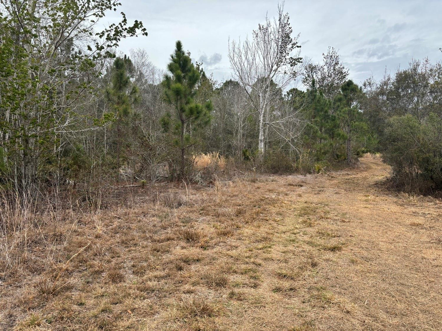 0 Old Grade Road Property Photo 3