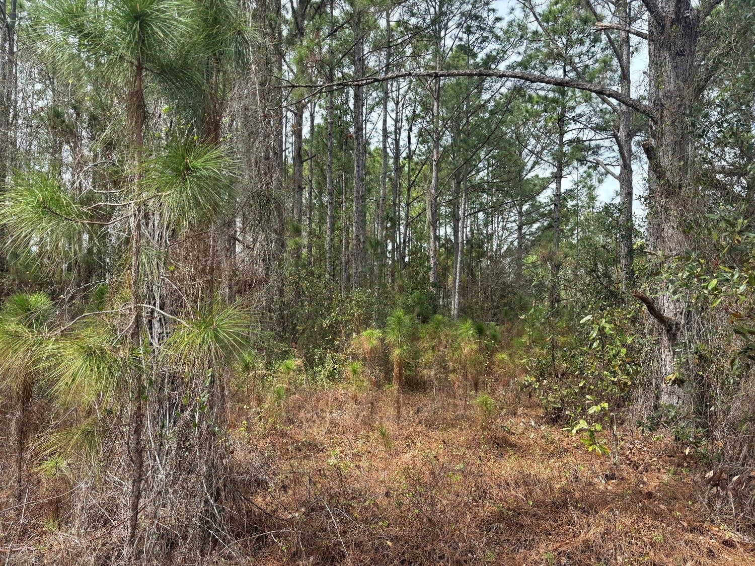0 Old Grade Road Property Photo 3